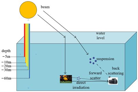 Underwater vision .